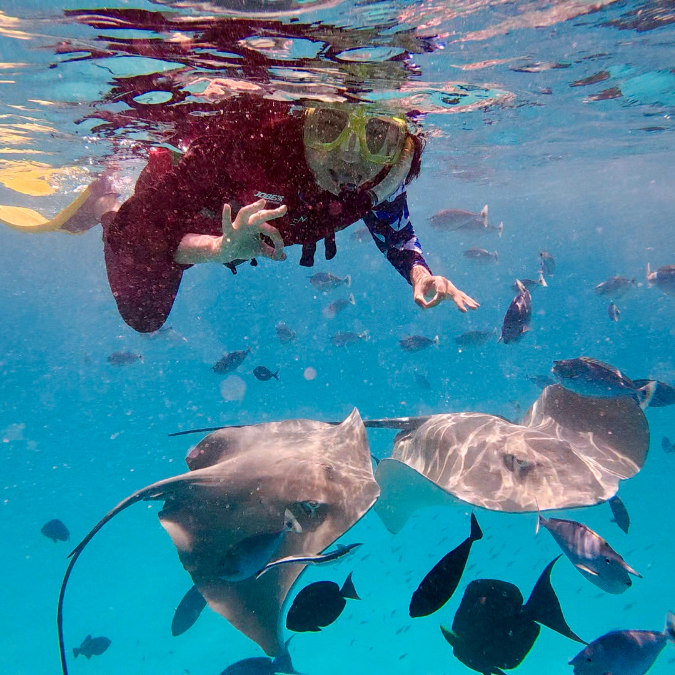 Sting ray snorkel